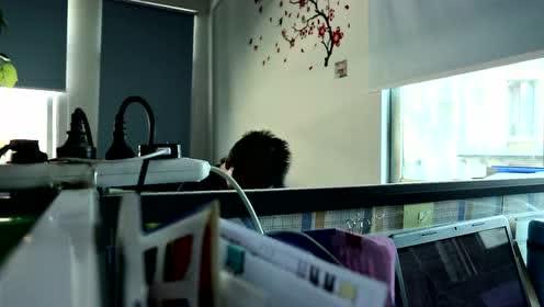 办公室在线视频观看,在线视频观看新风尚