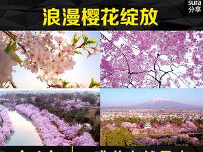 在线视频春暖花开性,探寻自然之美与生命活力的视觉盛宴