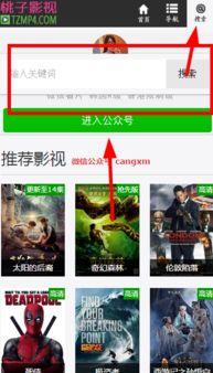 在线视频播放你懂得福利,在线视频播放新体验